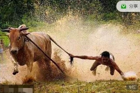 【只会炒股】《只会炒股2024年8月-10月股哥秋季班视频课程》网盘课程下载