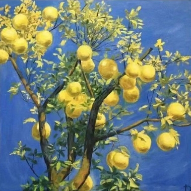 【大柚子笔记】《2024柚子投资课堂系统课程视频+笔记》网盘课程下载