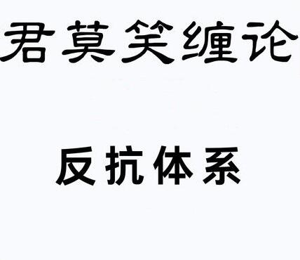 【君莫笑缠论】《反抗体系提高班技术课程24讲》网盘课程下载