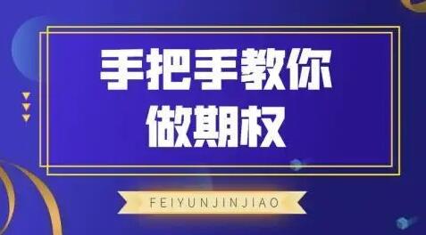 【飞云金教】《飞云金教 手把手教你做期权》网盘课程下载