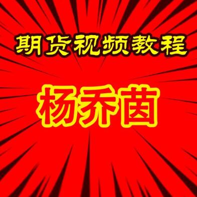 【杨乔茵】《杨乔茵落地课合集期货训练营》网盘课程下载