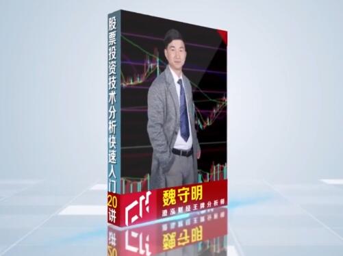 【澄泓财经】《魏守明股票投资技术入门股票技术分析教程 全20讲》网盘课程下载