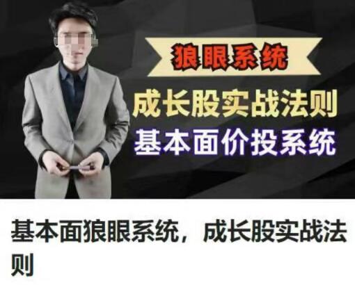 【股道九杨】《狼眼系统 成长股实战法则,基本面价投系统》网盘课程下载