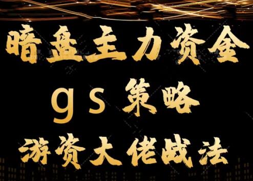 【龙门大师兄】《平民翻身暗盘主力资金 gs策略方法 游资大佬战法教学视频》网盘课程下载