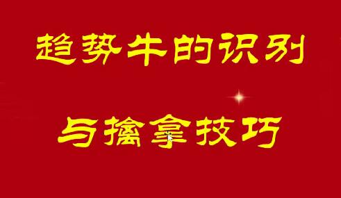 【量学大讲堂】《冯雅丽2025庄影婀娜第9期课程正课系统课+收评 共39视频》网盘课程下载