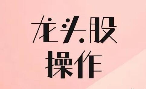 【爱雅微课】《龙头股涨停操作手法系统一板二板教程合集 13文档》网盘课程下载
