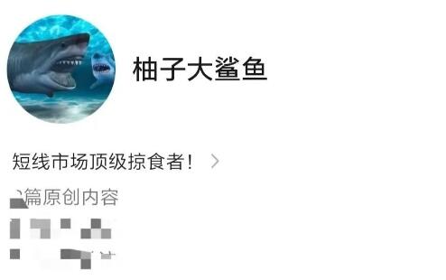 【柚子大鲨鱼】《柚子大鲨鱼炒股直播课程》网盘课程下载