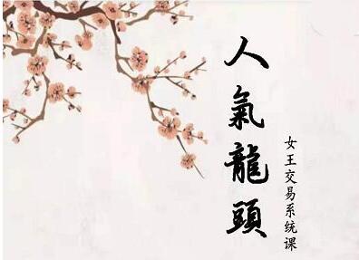 【短线女王】《短线女王人气女王人气龙头基础视频课程》网盘课程下载