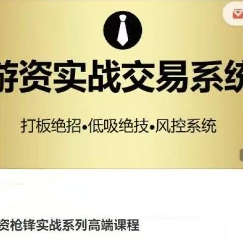 【枪锋】《游资枪锋实战系列高端课程 打板绝招低吸绝技风控系统》网盘课程下载
