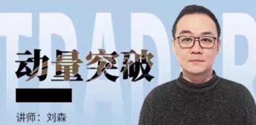 【刘森】《刘森 期货标准动量突破培训视频课程》网盘课程下载