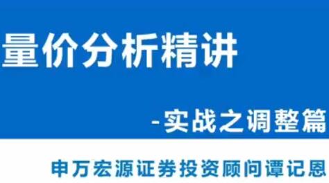 【谭记恩】《谭记恩量价分析系统第四期之实战调整篇》网盘课程下载