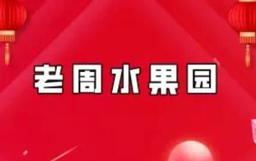 【老周水果园】《复利周师兄短线周期主升 圈内教学文档》网盘课程下载