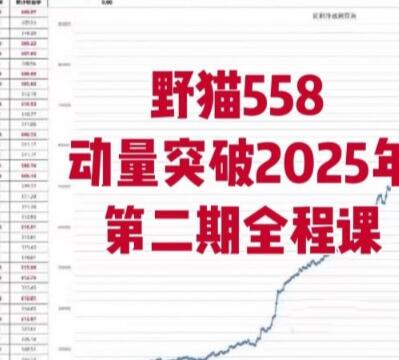 【野猫558】《野猫558动量突破2025年第二期全程课》网盘课程下载