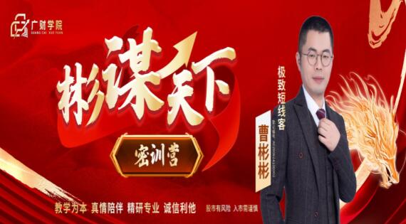 【曹彬彬】《极致短线客曹彬彬线下课-彬谋天下密训营视频+学习资料+版面指标》网盘课程下载