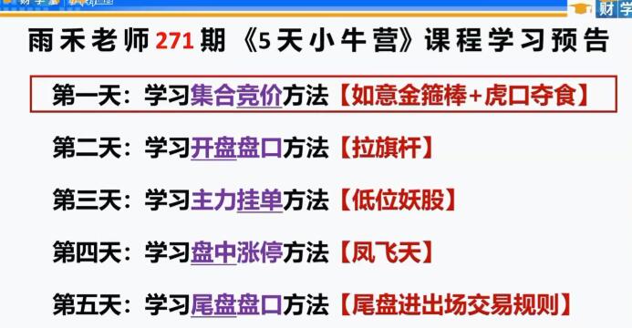 雨禾小牛特训营5天公开课