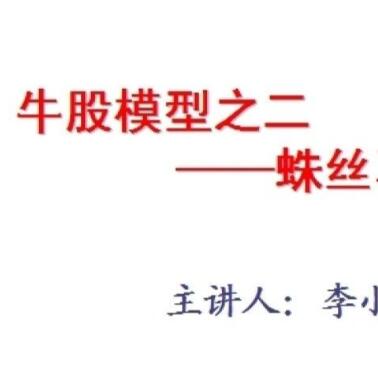 【李小龙】《牛股模型之二蛛丝马迹-李小龙》网盘课程下载