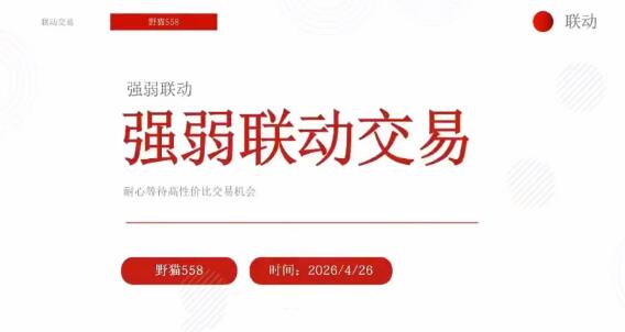 【野猫558】《野猫558动量强弱联动交易》网盘课程下载