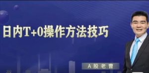 【曹茂桂】《股市秘笈日内T+0操作方法技巧 1视频》网盘课程下载-爱雅微课