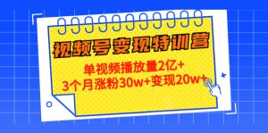 20天视频号变现特训营:单视频播放量2亿+3个月涨粉30w+变现20w+-爱雅微课