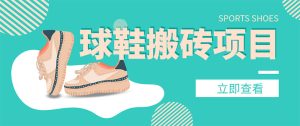 外面收费998的球鞋搬砖项目,月入5000+【详细教程+资源渠道】-爱雅微课