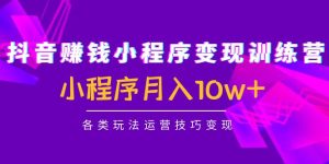 抖音赚钱小程序变现训练营:小程序月入10w+各类玩法运营技巧变现-爱雅微课