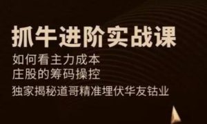 【道哥】《道哥抓牛进阶实战课》网盘课程下载-爱雅微课