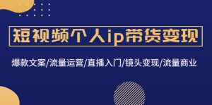 短视频个人ip带货变现:爆款文案/流量运营/直播入门/镜头变现/流量商业-爱雅微课