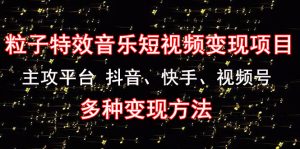 【黄岛主】《粒子特效音乐短视频变现项目》主攻平台 抖音、快手、视频号 多种变现方法-爱雅微课