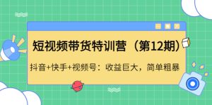 李鲆·短视频带货训练营(第12期)抖音+快手+视频号:收益巨大,简单粗暴!-爱雅微课