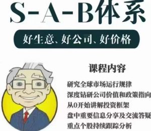 【野生分析老PU】《S-A-B体系好生意、好公司、好价格》网盘课程下载-爱雅微课