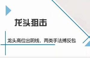 【股坛大师兄】《邵昌武:狙击龙头 12视频》网盘课程下载-爱雅微课