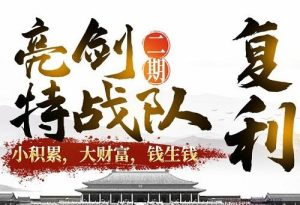 【李团长】《亮剑战法主升浪特战队 二期》网盘课程下载-爱雅微课