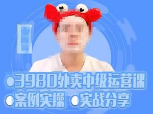 【水獭会】原价3980元的系统外卖运营+招商方案,案例实操+实战分享!-爱雅微课