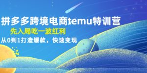 拼多多跨境电商temu特训营:先入局吃一波红利,从0到1打造爆款,快速变现!-爱雅微课