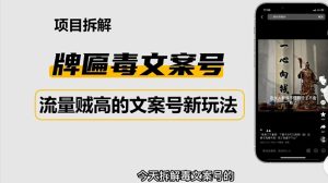 2023抖音快手毒文案新玩法,牌匾文案号,起号快易变现!-爱雅微课