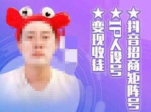 抖音招商矩阵号+IP人设号+变现收徒,教你如何做抖音,通过抖音如何变现!-爱雅微课