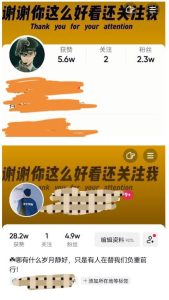 外面收费1980快速涨粉技术(女粉),抖音快手小红书,只要你有执行力,涨粉轻而易举,粉丝=变现-爱雅微课