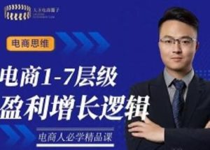 【大圣】《电商1-7层级盈利增长底层逻辑课》让你掌握电商盈利的底层逻辑!-爱雅微课