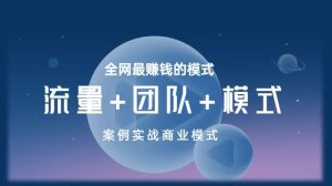 【王冲老师】《流量+团队+模式》商业模式实战课,全网最赚钱的模式-爱雅微课