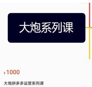 【大炮】原价1000元的拼多多运营系列课,各类玩法合集,拼多多运营玩法实操!-爱雅微课