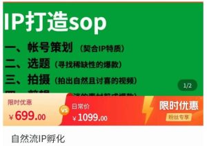 【瑶瑶】原价699元的自然流IP孵化,系统掌握IP孵化全流程,也能学到选题,剪辑,账号运营经验-爱雅微课