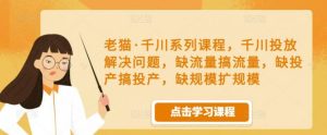 【老猫】原价1680元的千川系列课程,千川投放解决问题,缺流量搞流量!-爱雅微课