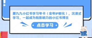 【厦九九】小红书学习年卡(全年IP孵化),沉浸式学习,一起成为有影响力的小红书博主!-爱雅微课