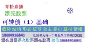 【高青松】《高青松 可转债、ETF、国债》网盘课程下载-爱雅微课