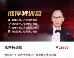 【股谱老王】原价29800元《王建 涨停特训营》网盘课程下载-爱雅微课