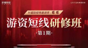 【毛毛老师】《游资短线研修班—毛毛老师线下课12月18日》网盘课程下载-爱雅微课