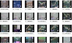 【北京炒家】《北京炒家直播视频合集》网盘课程下载-爱雅微课