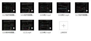 【闻少】《2023年12月淘股吧大V闻少 股市悟道直播课 收集视频 共8个》网盘课程下载-爱雅微课