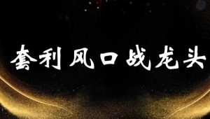 【袁博】《牛散特训营专栏 分时做T-龙头起爆技法》网盘课程下载-爱雅微课