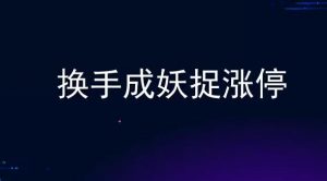 【袁博】《牛散特训营专栏 换手成妖捉涨停》网盘课程下载-爱雅微课